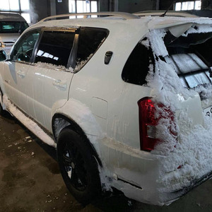 Легковой джип SSANG YONG REXTON В947ЕВ 49