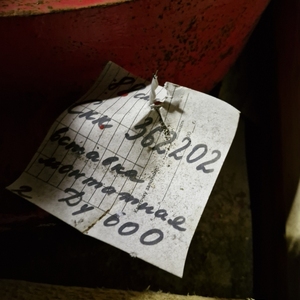 Вставка монтаж. ТЛН.521.1023.ОУ