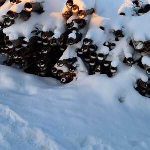 ПИ208378 Лом черных металлов, 184 т