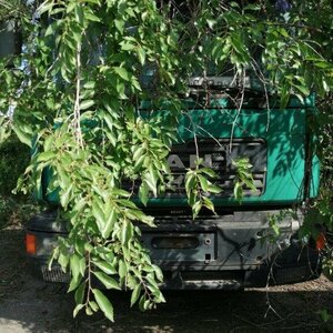 ПИ301196 РЕАЛИЗАЦИЯ Б/У АВТОТРАНСПОРТНЫХ СРЕДСТВ. ТЯГАЧ СЕДЕЛЬНЫЙ MAN TGA 27.414 DFT. Г.В. 2003. ИНВ № 5228.
