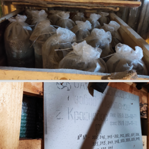 ПИ308326 ОБОРУДОВАНИЕ ДЛЯ БУРЕНИЯ СКВАЖИН (БАШМАК, КЛАПАН ОБРАТНЫЙ, МУФТА AVRORA)