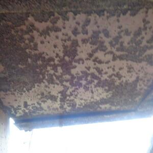 ПИ308627 Кран козловой специальный КС 50-42Б. 50тонн