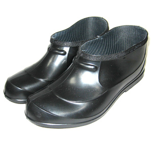 ПИ309089 Обувь. 2017г.