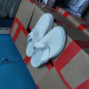 ПИ309089 Обувь. 2017г.