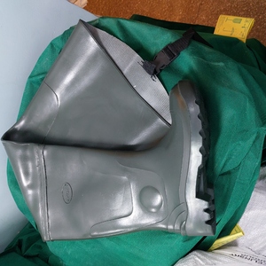 ПИ309089 Обувь. 2017г.