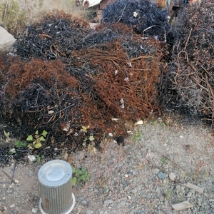 ПИ401062 лома стальных металлов 5А, 12А, 13А, 16А. 411тонн