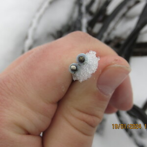 ПИ401350 Реализация лома и отходов цветных металлов