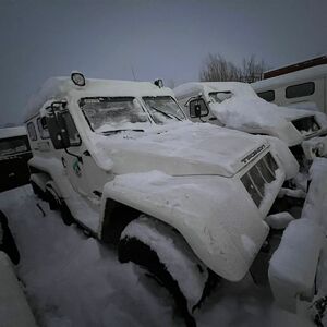 ПИ404354 Технологический транспорт. 23 лота