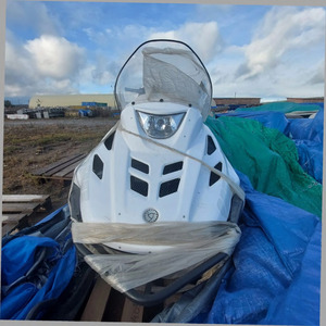 ПИ412247 Снегоход ТАЙГА Варяг 550V с санями для снегохода ПГД-2500 2500х750мм