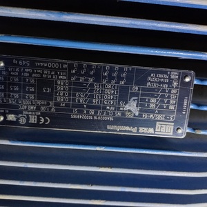 Электродвигатель WEG W22 GOST 250S/M 4P 75кВт 1475об/мин