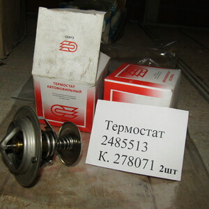 ТЕРМОСТАТ 2485513