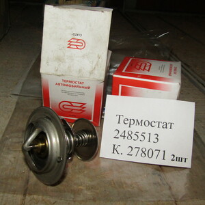 ТЕРМОСТАТ 2485513