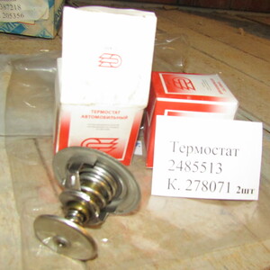 ТЕРМОСТАТ 2485513