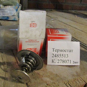 ТЕРМОСТАТ 2485513