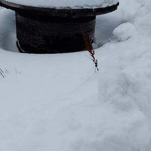 196-598 • Реализация канатов стальных, новых, с хранения от ООО &quot;Савинское карьероуправление&quot;